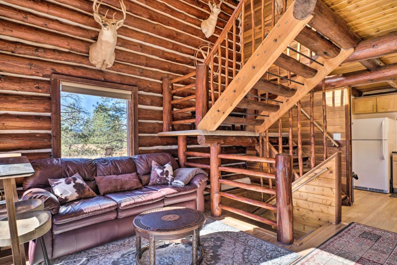Classic Colorado Log Home With Mountain Views! Florissant ภายนอก รูปภาพ